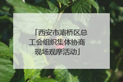 西安市灞桥区总工会组织集体协商现场观摩活动