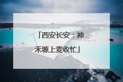 西安长安：神禾塬上麦收忙