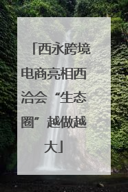 西永跨境电商亮相西洽会“生态圈”越做越大