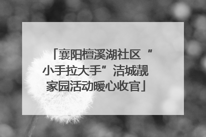 襄阳檀溪湖社区“小手拉大手”洁城靓家园活动暖心收官