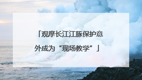 观摩长江江豚保护意外成为“现场教学”