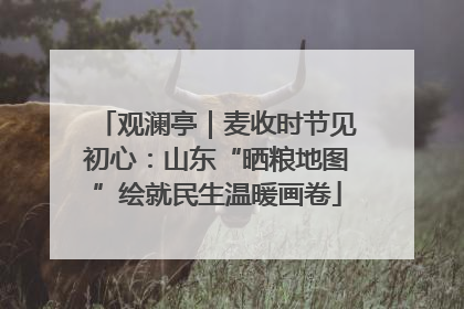观澜亭｜麦收时节见初心：山东“晒粮地图”绘就民生温暖画卷