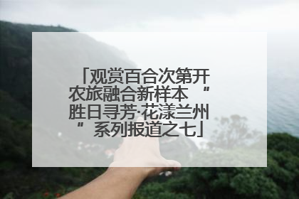 观赏百合次第开 农旅融合新样本 “胜日寻芳·花漾兰州”系列报道之七