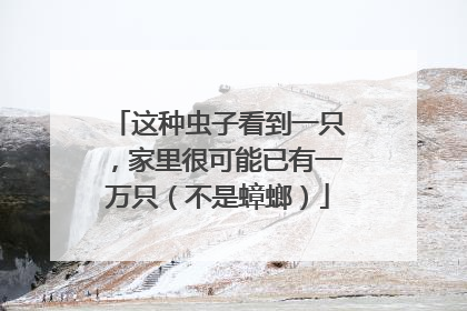 这种虫子看到一只，家里很可能已有一万只（不是蟑螂）