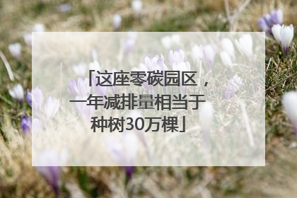 这座零碳园区，一年减排量相当于种树30万棵