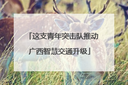 这支青年突击队推动广西智慧交通升级