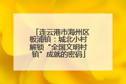 连云港市海州区板浦镇：城北小村解锁“全国文明村镇”成就的密码