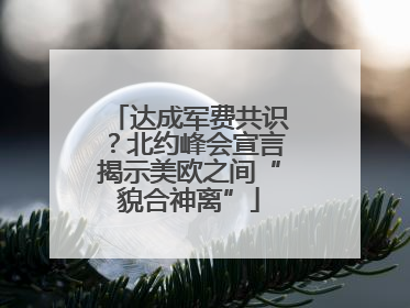 达成军费共识？北约峰会宣言揭示美欧之间“貌合神离”