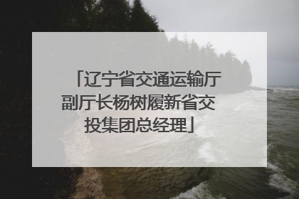 辽宁省交通运输厅副厅长杨树履新省交投集团总经理
