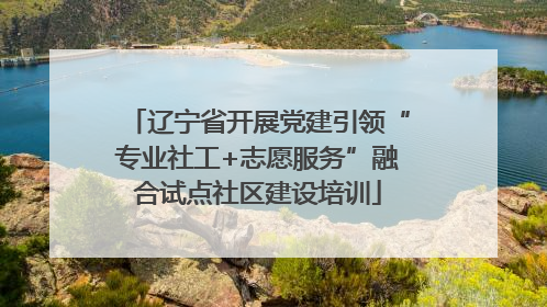 辽宁省开展党建引领“专业社工+志愿服务”融合试点社区建设培训
