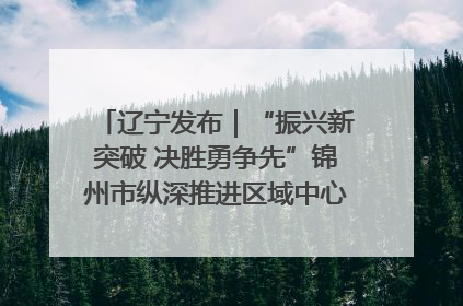 辽宁发布｜“振兴新突破 决胜勇争先”锦州市纵深推进区域中心城市建设 打造高质量发展新增长极