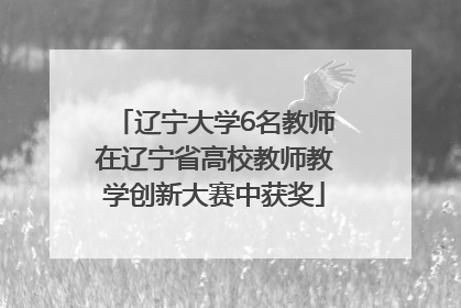 辽宁大学6名教师在辽宁省高校教师教学创新大赛中获奖