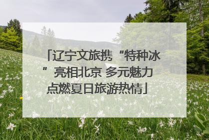 辽宁文旅携“特种冰”亮相北京 多元魅力点燃夏日旅游热情