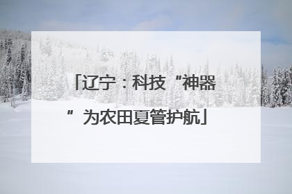 辽宁：科技“神器”为农田夏管护航