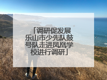 调研促发展 乐山市少先队鼓号队走进凤凰学校进行调研