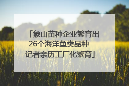 象山苗种企业繁育出26个海洋鱼类品种 记者亲历工厂化繁育