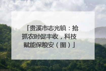 贵溪市志光镇：抢抓农时促丰收，科技赋能保粮安（图）