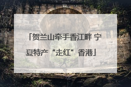 贺兰山牵手香江畔 宁夏特产“走红”香港