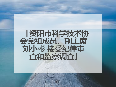 资阳市科学技术协会党组成员、副主席刘小彬 接受纪律审查和监察调查