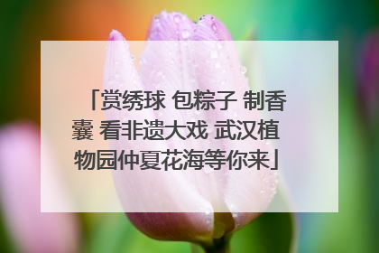 赏绣球 包粽子 制香囊 看非遗大戏 武汉植物园仲夏花海等你来