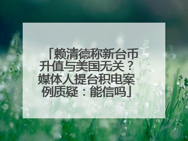 赖清德称新台币升值与美国无关？媒体人提台积电案例质疑：能信吗