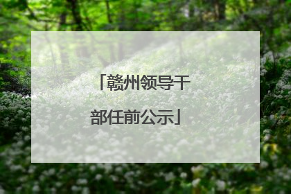 赣州领导干部任前公示