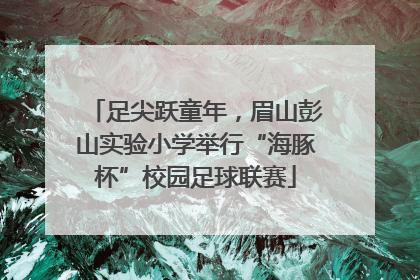 足尖跃童年，眉山彭山实验小学举行“海豚杯”校园足球联赛