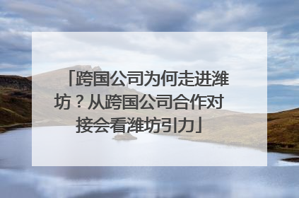 跨国公司为何走进潍坊？从跨国公司合作对接会看潍坊引力