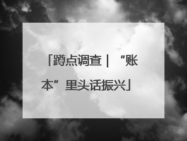 蹲点调查｜“账本”里头话振兴
