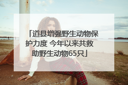 道县增强野生动物保护力度 今年以来共救助野生动物65只