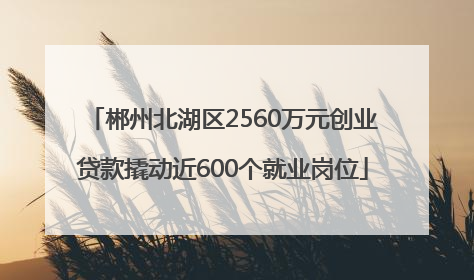 郴州北湖区2560万元创业贷款撬动近600个就业岗位