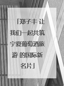 郑子丰 让我们一起共筑宁夏葡萄酒旅游 的国际新名片