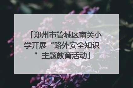 郑州市管城区南关小学开展“路外安全知识”主题教育活动