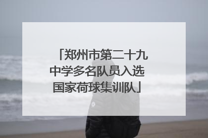 郑州市第二十九中学多名队员入选国家荷球集训队