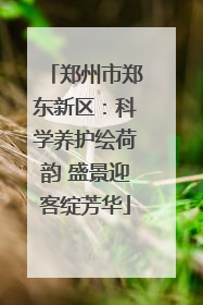 郑州市郑东新区：科学养护绘荷韵 盛景迎客绽芳华