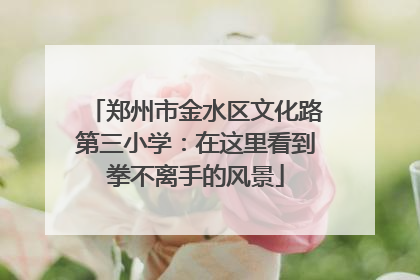 郑州市金水区文化路第三小学：在这里看到拳不离手的风景