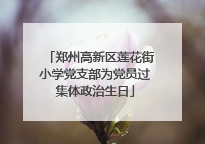 郑州高新区莲花街小学党支部为党员过集体政治生日