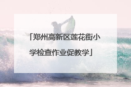 郑州高新区莲花街小学检查作业促教学