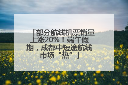 部分航线机票销量上涨20%！端午假期，成都中短途航线市场“热”
