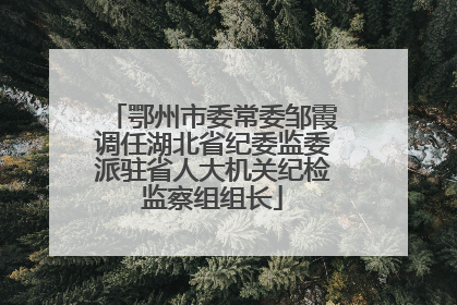 鄂州市委常委邹霞调任湖北省纪委监委派驻省人大机关纪检监察组组长