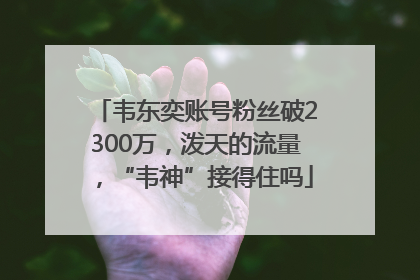 韦东奕账号粉丝破2300万，泼天的流量，“韦神”接得住吗