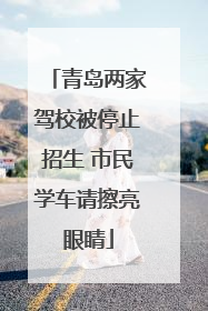 青岛两家驾校被停止招生 市民学车请擦亮眼睛