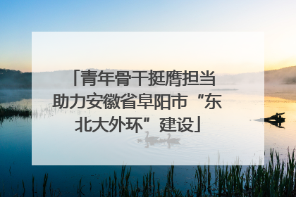 青年骨干挺膺担当 助力安徽省阜阳市“东北大外环”建设