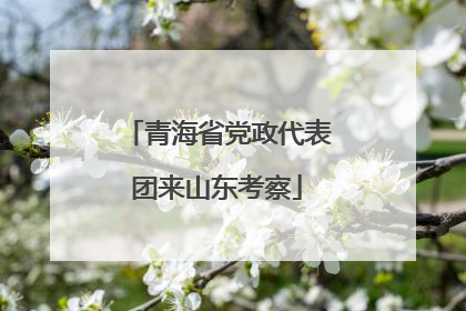 青海省党政代表团来山东考察