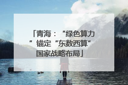 青海：“绿色算力”锚定“东数西算”国家战略布局