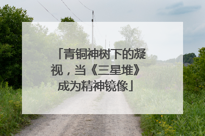 青铜神树下的凝视，当《三星堆》成为精神镜像