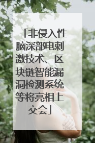 非侵入性脑深部电刺激技术、区块链智能漏洞检测系统等将亮相上交会