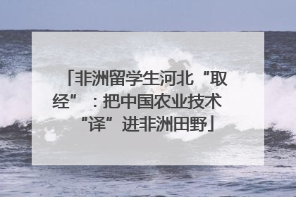 非洲留学生河北“取经”：把中国农业技术“译”进非洲田野