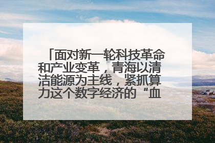面对新一轮科技革命和产业变革，青海以清洁能源为主线，紧抓算力这个数字经济的“血液”、科技主权的“筹码”、产业升级的“杠杆”、绿色转型的“支点”，勇于撬动国家“双碳”战略、“东数西算”工程重大发展新机遇