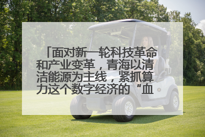 面对新一轮科技革命和产业变革，青海以清洁能源为主线，紧抓算力这个数字经济的“血液”、科技主权的“筹码”、产业升级的“杠杆”、绿色转型的“支点”，勇于撬动国家“双碳”战略、“东数西算”工程重大发展新机遇，点亮绿色算电协同新赛道，蹚出一条符合本地实际的高质量发展之路——青海：“绿色算力” 锚定“东数西算”国家战略布局